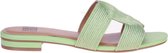 Bibi Lou 839z94hg Slippers - Dames - Groen - Maat 39