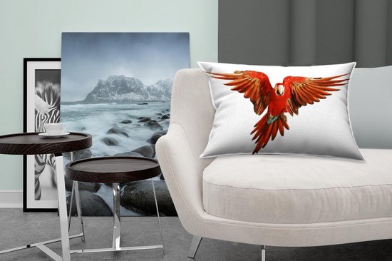 Sierkussen Animaux sur fond blanc pour l'intérieur - Ara pour fond blanc - 60x40 cm - Coussin intérieur rectangulaire en coton