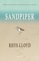 Sandpiper