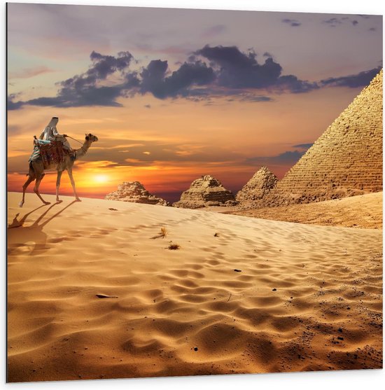 Dibond - Mooie Woestijn met Kameel - 100x100cm Foto op Aluminium (Wanddecoratie van metaal)
