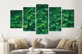 Schilderij -Klimop, groen,   5 luik, 200x100cm, Premium print