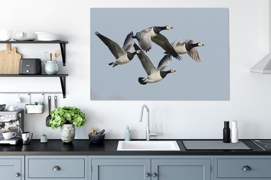 Quatre oies dans l'air Toile 120x80 cm - Tirage photo sur toile (Décoration murale salon / chambre) / Peintures sur toile Animaux