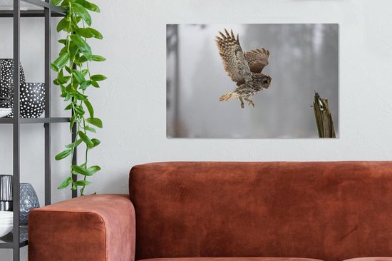 Tawny Owl atterrira sur un poteau Toile 90x60 cm - Tirage photo sur toile (Décoration murale salon / chambre)