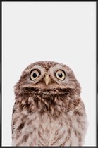 JUNIQE - Poster in kunststof lijst Owl -30x45 /Bruin