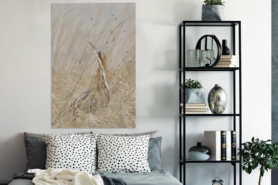 Un butor parmi les hautes herbes Toile 90x140 cm - Tirage photo sur toile (Décoration murale salon / chambre)