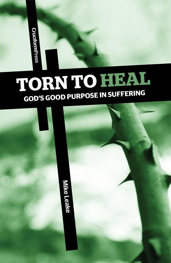 Torn to Heal - cover