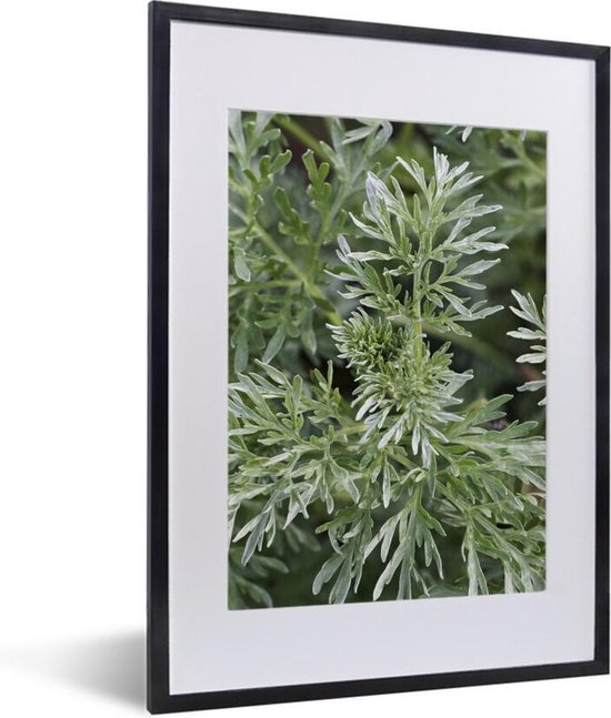 ByMoris A 60 x 120 cm (23,6 x 47,2 inch) fotolijst in Wenge kleur met