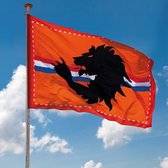 Mega oranje stadion vlag 300x200 cm