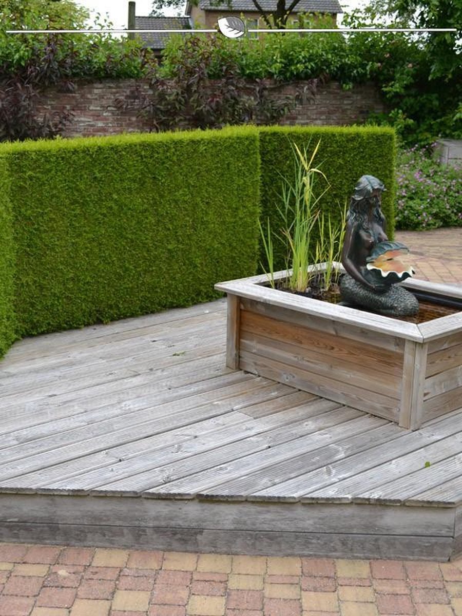 Westerse Levensboom Thuja Brabant 120-140 cm, 5x Haagplant