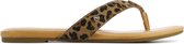 UGG Slippers / Teenslippers Dames - 1119747 - Leopard - Maat 38