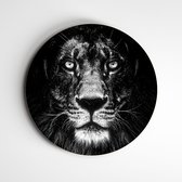 IDecorate - Schilderij - Lion Eyes Zwart/wit (leeuw) - Zwart En Wit - 120 X 120 Cm