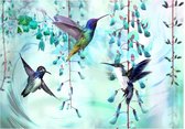 Fotobehang - Flying Hummingbirds Green 350x245cm - Vliesbehang