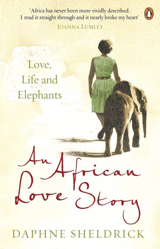 An African Love Story - cover