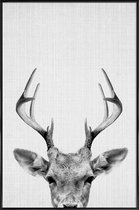 JUNIQE - Poster met kunststof lijst Rendier zwart-wit foto -13x18 /Wit