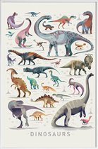 JUNIQE - Poster in kunststof lijst Dinosauruskaart -60x90 /Kleurrijk