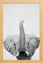 JUNIQE - Poster met houten lijst Olifant zwart-wit foto -13x18 /Wit &