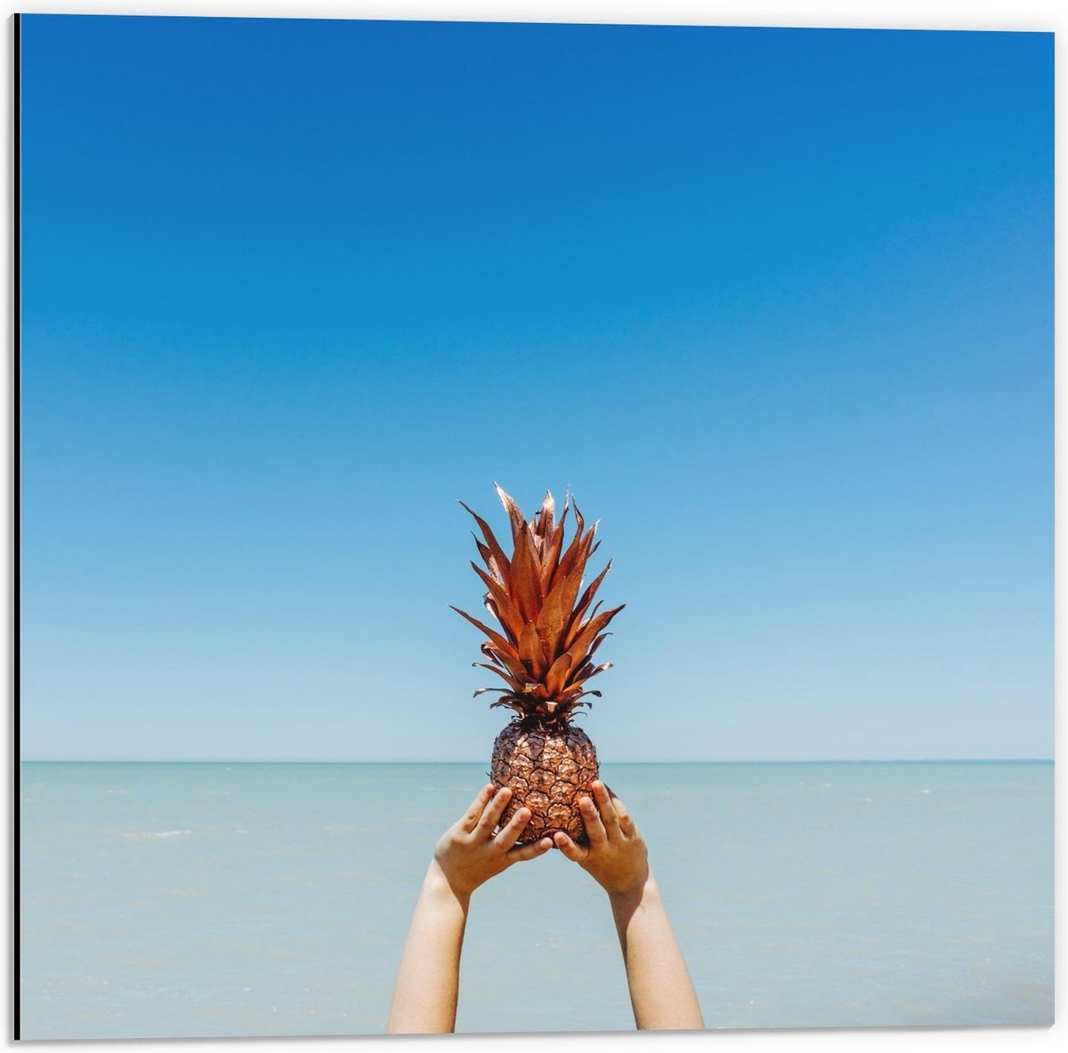 Dibond - Gouden Ananas bij Zee - 50x50cm Foto op Aluminium (Met Ophangsysteem)