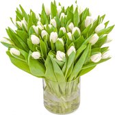 Witte Tulpen Boeket - 30 Tulpen - Gratis Verzending