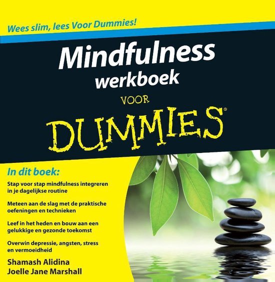 shamash-alidina-voor-dummies---mindfulness-werkboek-voor-dummies