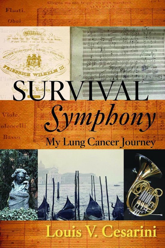 Survival Symphony - cover