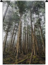 Wandkleed - Wanddoek - De bossen van het Canadese archipel Haida Gwaii in Brits-Columbia - 120x180 cm - Wandtapijt