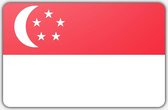 Vlag Singapore - 200 x 300 cm - Polyester
