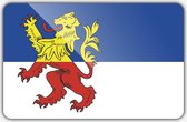 Vlag gemeente Neder-Betuwe - 70 x 100 cm - Polyester