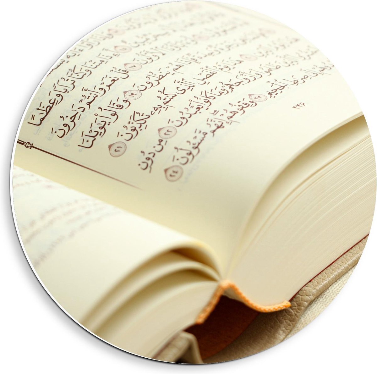 KuijsFotoprint - Schilderij - Volgeschreven Paginas In Boek - Wit, Bruin En Beige - 40 X 40 Cm