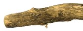 Birrdeeez Natural Sekelbos Perch 30cm