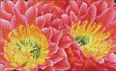 DQ9.009 Diamond Dotz® - Hobby Pakket - Diamond painting volwassenen - Woestijn bloemen 32 x 52cm - Vierkante steentjes - Diamond painting pakket volledig