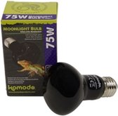 Lampe de nuit Komodo - ES 75 Watt