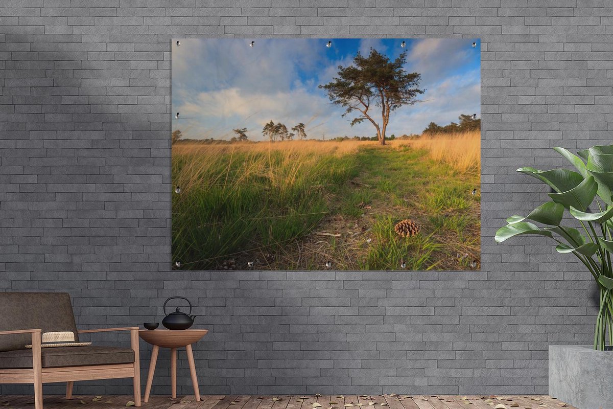 Muurdecoratie buiten Het Nationaal Park De Loonse en Drunense Duinen