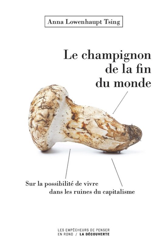 Le champignon de la fin du monde - cover