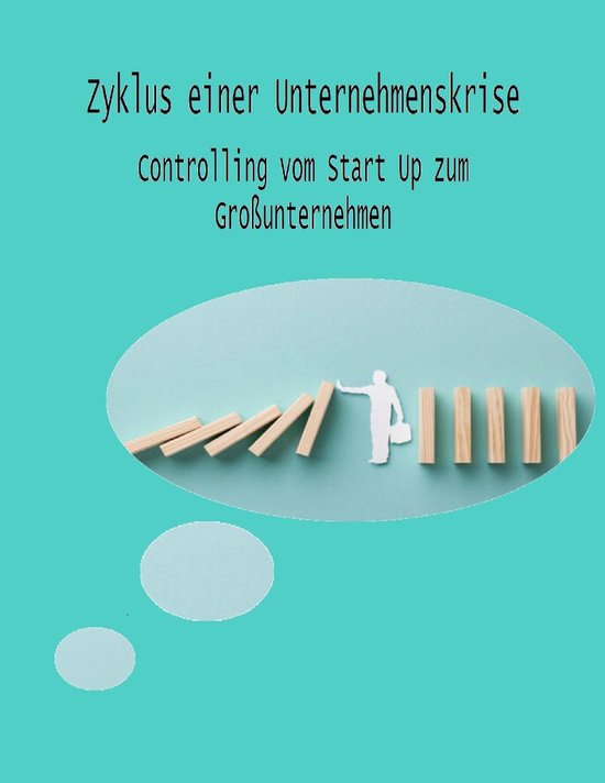 Zyklus einer Unternehmenskrise - cover