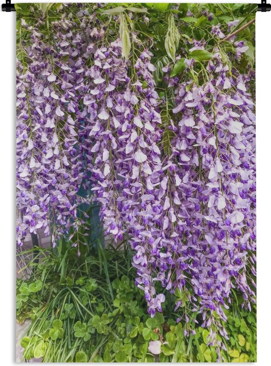 Tapisserie Wisteria - Wisteria en milieu naturel Tapisserie coton 90x135 cm - Tapisserie avec photo