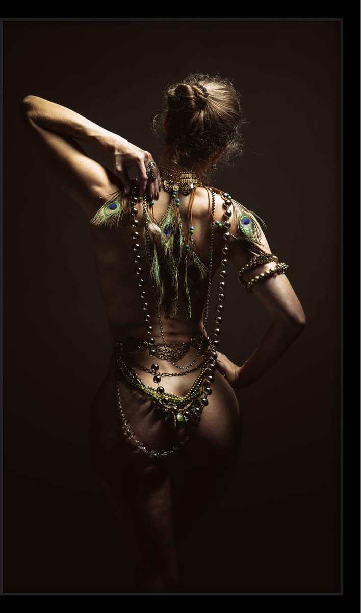 Schilderij - The Woman - Collectie Fashionista - Fine Art Plexiglas met zwarte baklijst - limited edition - 70x118cm