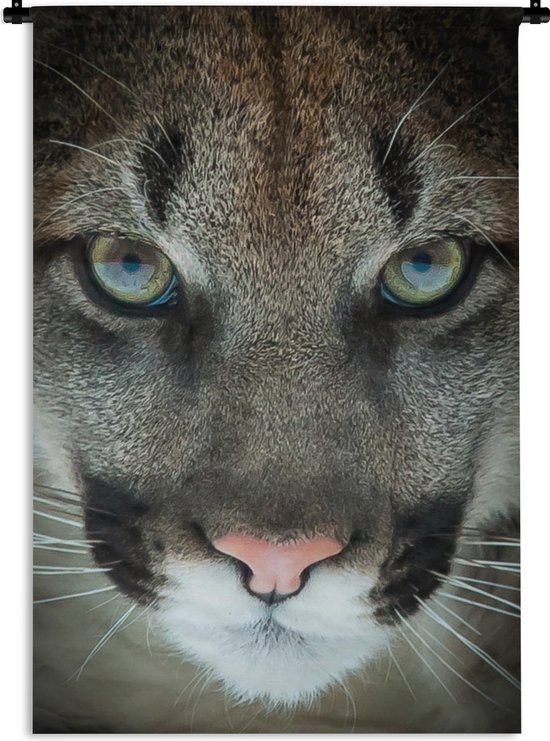 Puma yeux hotsell
