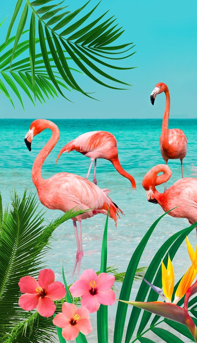 Good Morning Strandlaken "tropische flamingo's" - Multi - (100x180 cm) - Microfiber