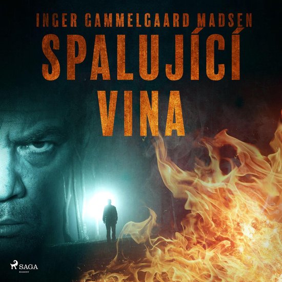 Spalující vina - cover