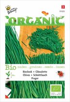 Buzzy® Organic Bieslook Prager (BIO)