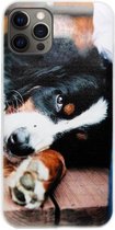 ADEL Siliconen Back Cover Softcase Hoesje Geschikt voor iPhone 12 Pro Max - Berner Sennenhond