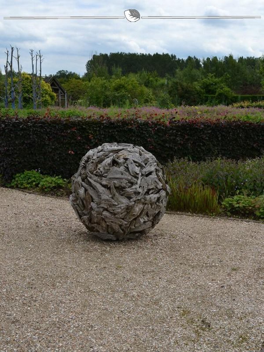 Rode Beuk Fagus sylvatica Atropunicea 125-150 cm Blote wortel, 80x Haagplant
