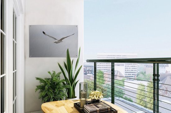 Tuinposter 60x40 cm - Tuindecoratie Pontische meeuw tijdens de vlucht - Poster voor in de tuin - Buiten decoratie - Schutting tuinschilderij - Tuindoek muurdecoratie - Wanddecoratie balkondoek