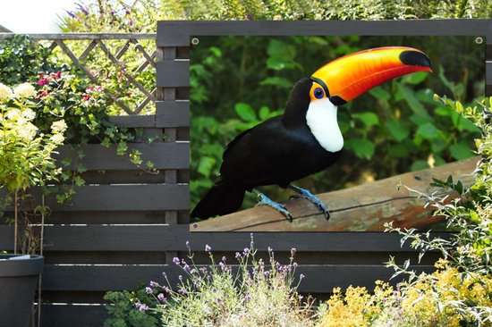 Un toucan assis sur un tronc d'arbre Affiche de jardin 120x80 cm - Toile de jardin / Toile d'extérieur / Peintures d'extérieur (décoration de jardin)