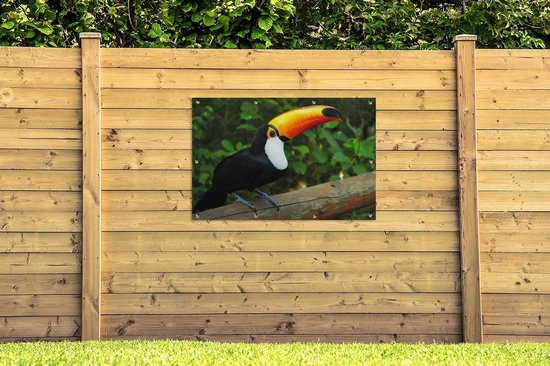 Un toucan assis sur un tronc d'arbre Affiche de jardin 120x80 cm - Toile de jardin / Toile d'extérieur / Peintures d'extérieur (décoration de jardin)