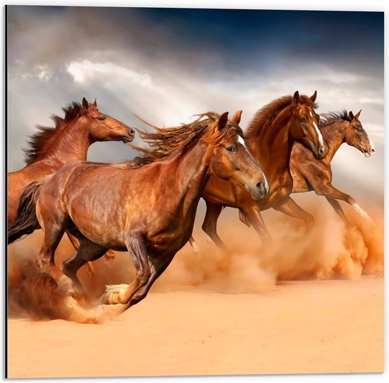 Dibond - Bruine Paarden Rennend door de Duinen - 50x50cm Foto op Aluminium (Wanddecoratie van metaal)