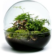 DIY Duurzame Flestuin: Biodome