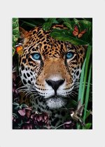 Poster Jungle Leopard - Dibond - Meerdere Afmetingen & Prijzen | Wanddecoratie - Interieur - Art - Wonen - Schilderij - Kunst