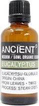 Biologische Etherische Olie Eucalyptus - 50ml - Essentiële Oliën - Aromatherapie - Essentiële Eucalyptus Olie