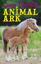 Animal Ark 32 - Foals in the Field